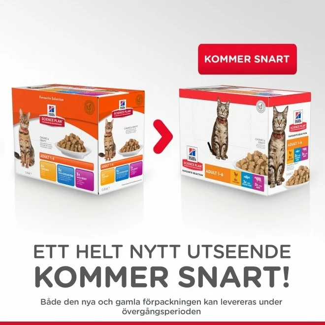 Hill's Science Plan Cat Adult Chicken, Beef Ocean Fish 12x85 G - Bild 3