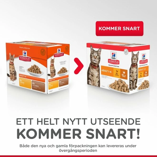 Hill's Science Plan Cat Adult Chicken & Turkey 12x85 G - Bild 5