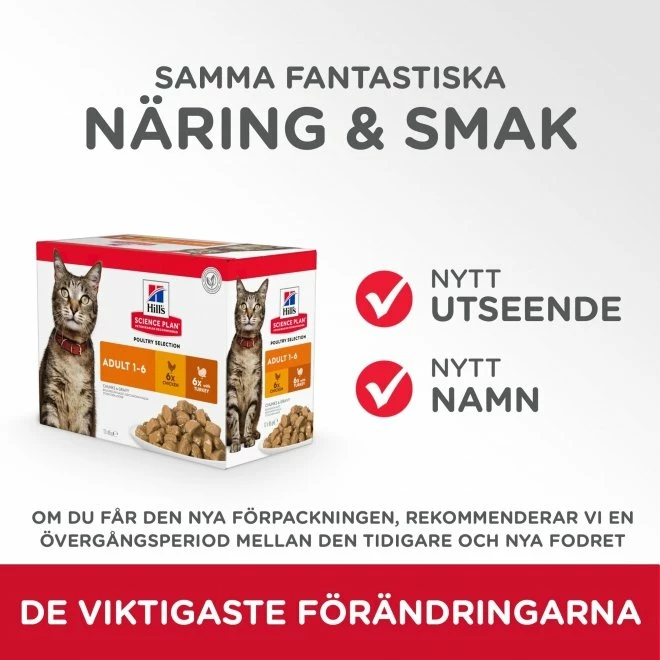 Hill's Science Plan Cat Adult Chicken & Turkey 12x85 G - Bild 4