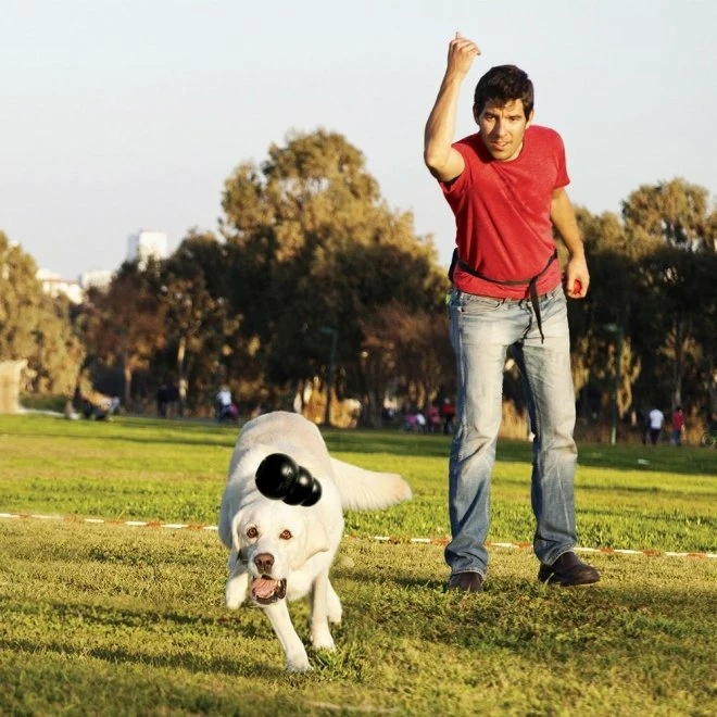 KONG Extreme Svart - Bild 2