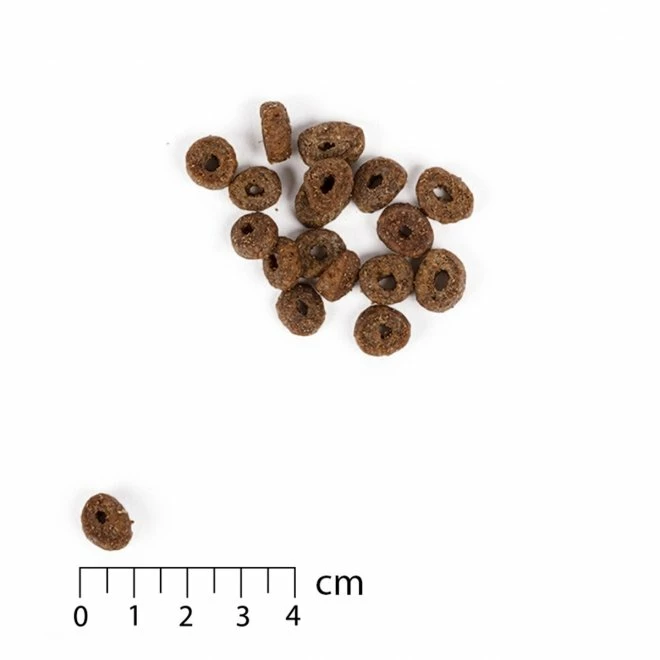 Nutrima Vital Small Breed - Bild 2