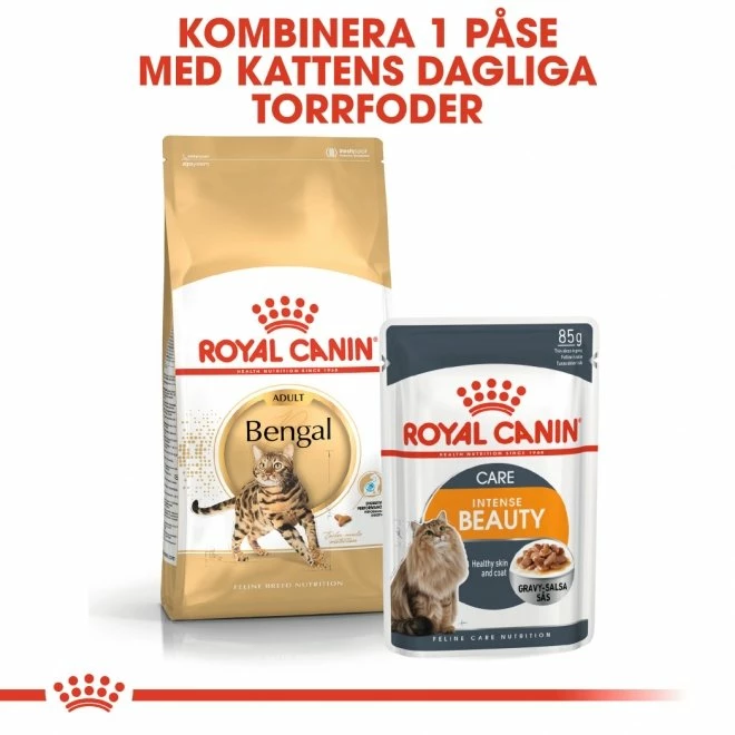 Royal Canin Bengal - Bild 4