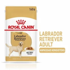 Royal Canin Labrador Retriever Adult 10x140 G