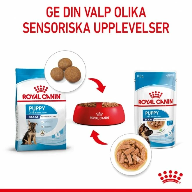 Royal Canin Maxi Puppy 10x140g - Bild 3