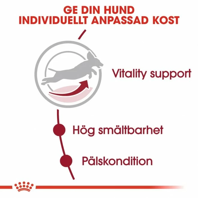 Royal Canin Dog Medium Adult 7+ - Bild 3