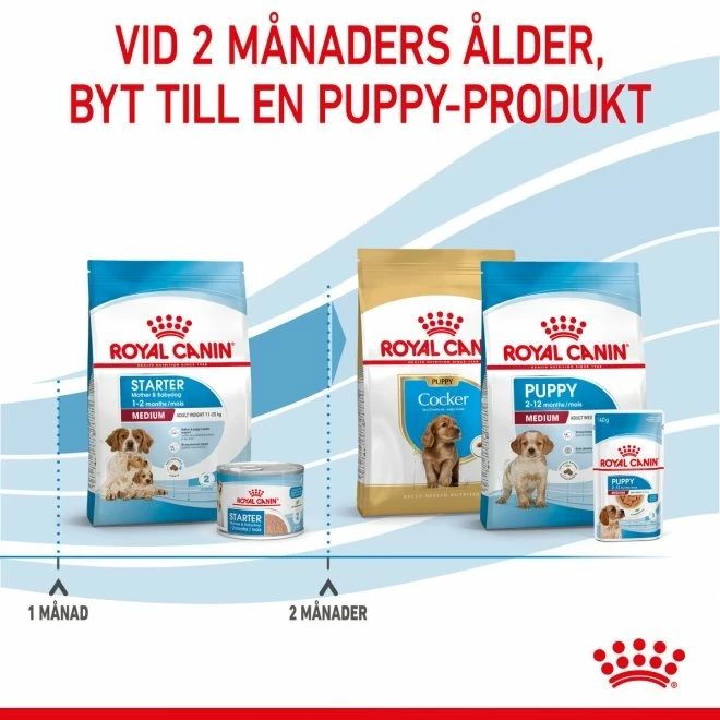 Royal Canin Medium Starter Mother & Babydog - Bild 6