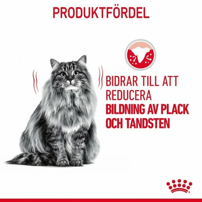 Royal Canin Cat Dental Care - Bild 2