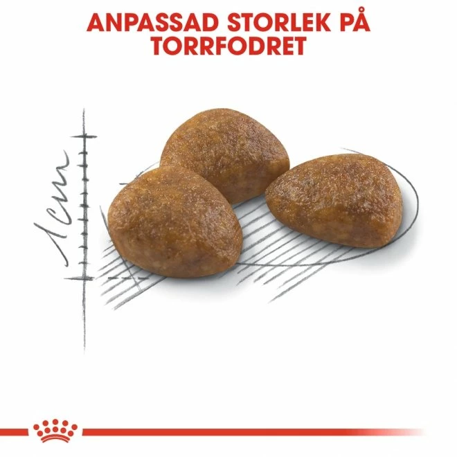 Royal Canin Outdoor 7+ - Bild 4