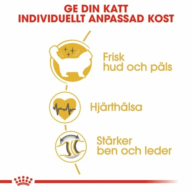 Royal Canin Ragdoll - Bild 3