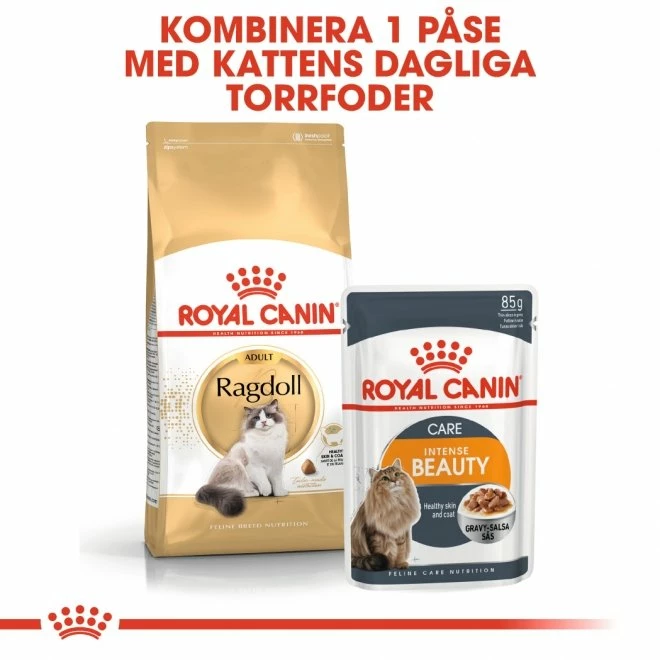 Royal Canin Ragdoll - Bild 5