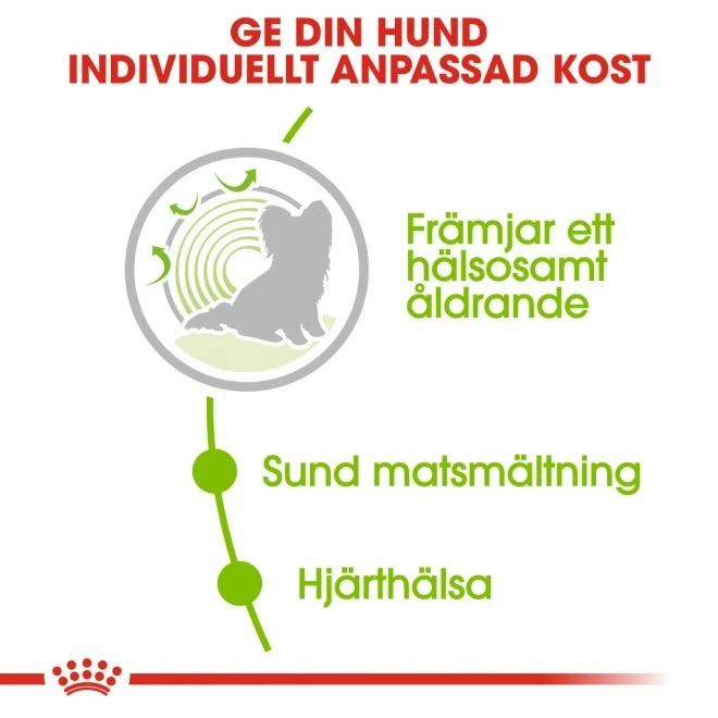 Royal Canin X-Small Ageing +12 - Bild 3