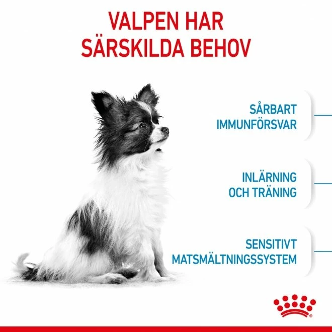Royal Canin X-small Puppy - Bild 4