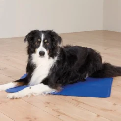 Trixie Kylmatta Blå